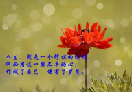 经典句子 人生感悟朋友圈,感悟人生——朋友圈经典句子精选