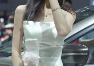 最美车模苏宁,美丽与速度的完美融合